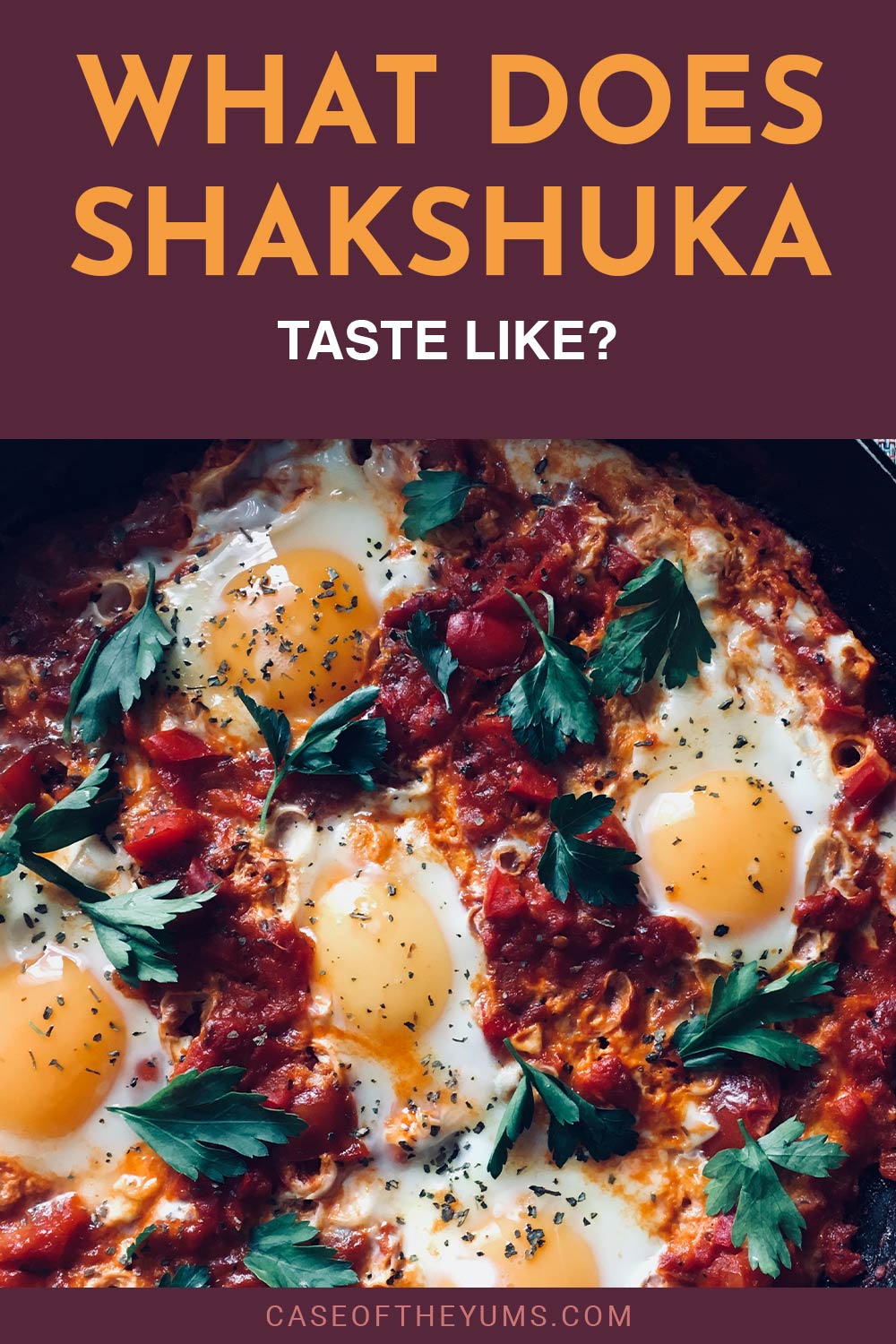 Shakshuka with some Coriander leaves on it