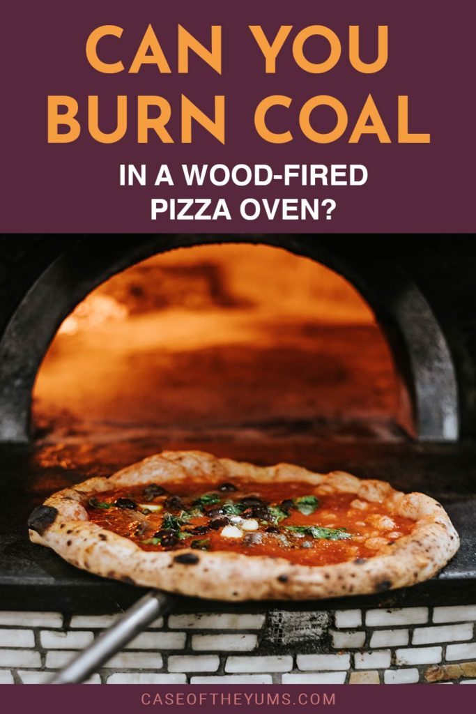Can you Burn Coal in a WoodFired Pizza Oven? Case of The Yums