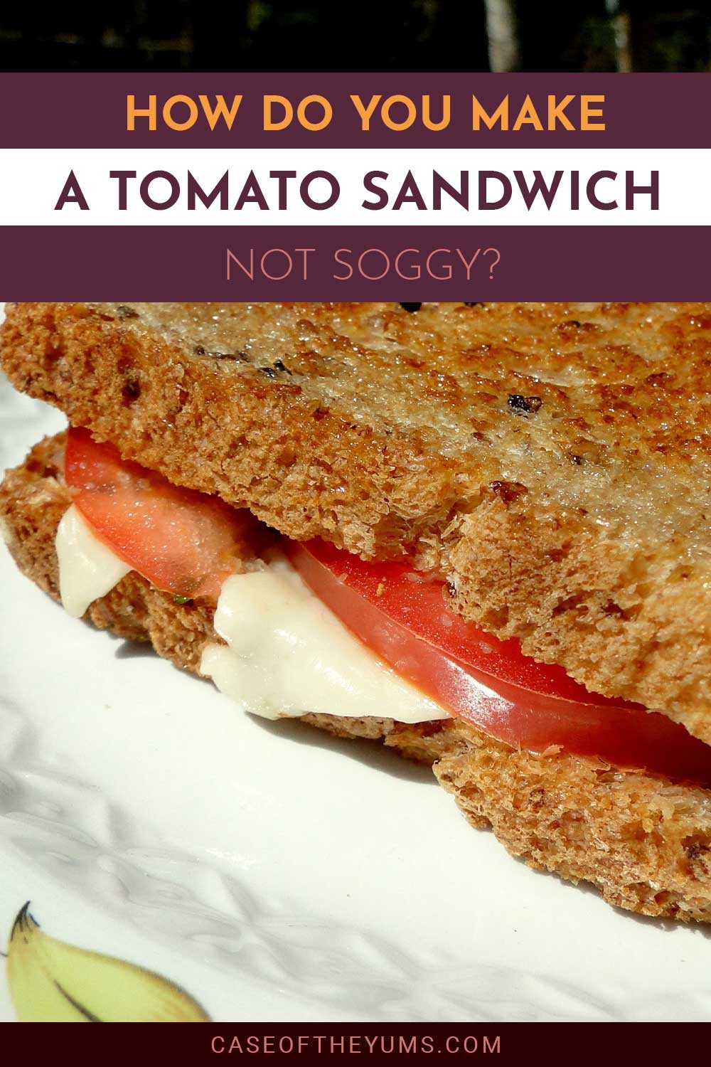 Brown toasted tomato sandwitch with cheese - How Do You Make It Not Soggy?