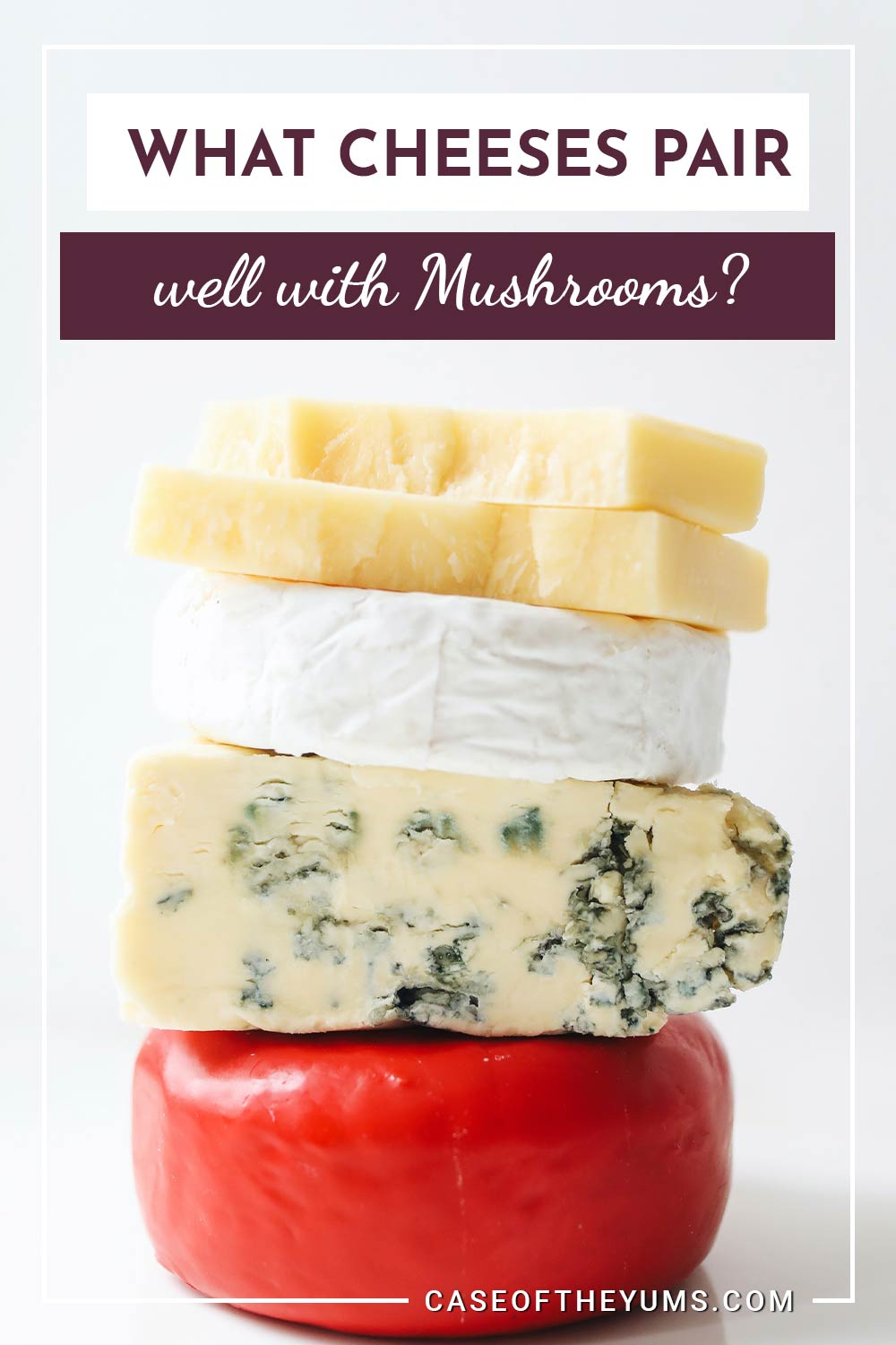 Various types of cheese in front of white surface -What Cheeses pair well with Mushrooms?